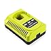 Energup 18V P117 Replacement Ryobi Charger for Li-ion Ni-cad Ni-Mh Battery, for 18V MAX One Plus Battery P100 P102 P103 P105 P107 P108 1400670 for Ryobi Charger