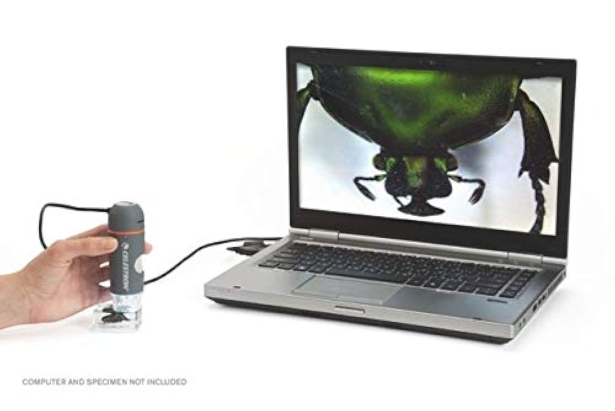 Handheld Digital Microscope