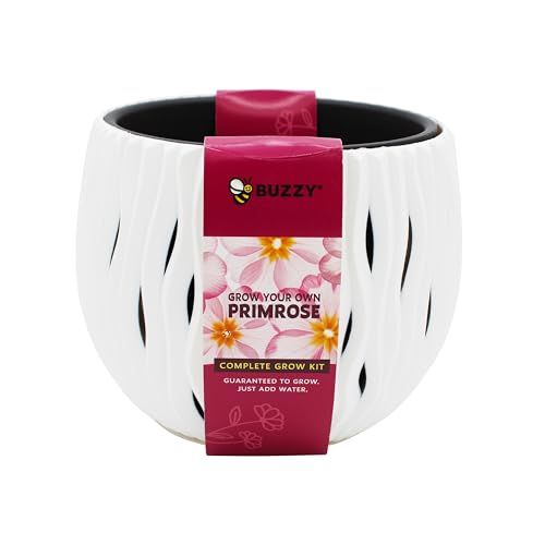 BUZZY Seeds Primrose Flower Grow Kit, White Wavy Pot, Mini Indoor Garden, Easy-to-Grow Decorative Planter for Desk, Windowsill or Small Spaces, Holiday Present, Birthday Gift for Women