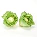 Cabbage or Lettuce Head, Artificial Vegetables Fake Food, Qty 3