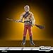 STAR WARS The Vintage Collection Kithaba (Skiff Guard) Return of The Jedi 3.75-Inch Collectible Action Figures, Ages 4 and Up (F7338)