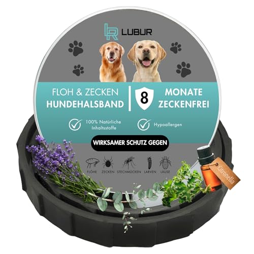 Lubur® Floh- und Zeckenhalsband für Hunde und Katzen - Natürlicher & effektiver Wirkstoff - bis zu 8 Monate wirksamer Schutz gegen Zecken und Flöhe (Lila, Hunde)