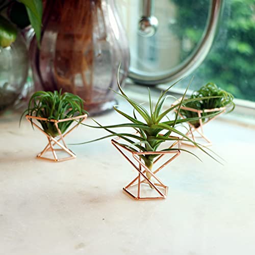 Nwsrayu Geometric Air Plant Holder Airplants Rack Metal Plants Stand Planter Shelves Himmeli Living Decor Tillandsia Pot Containers (Rose Gold 3Pcs) #TOP4