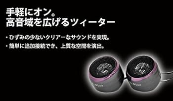 Amazon.co.jp: PL-840 チューンナップ ドームツィーター MAX80W