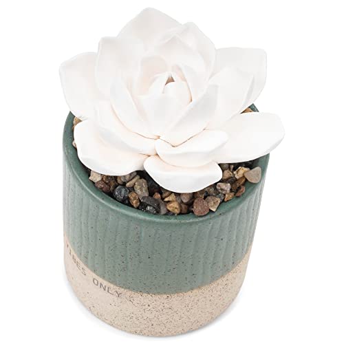 Demdaco Good Vibes Only Teal Blue Succulent 3 X 5 Stoneware Decorative Tabletop Oil Diffuser #TOP2