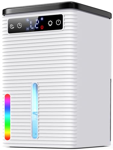 Deumidificatore 2500ML, Deumidificatore Casa Muffa Portatile...