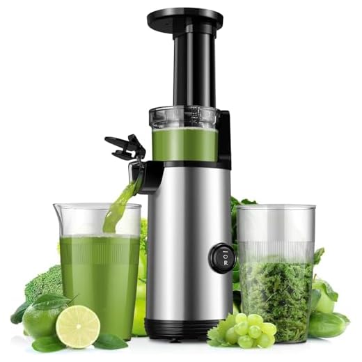 KIDISLE Compact Juicer Powerful Cold Press Juicer High Juice Yield Juicer Machines Easy to Clean Professional Slow Masticating Juicers for Fruits and Vegetables Reverse Function 600ml Cup Brush