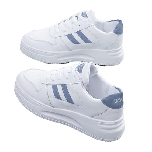 [miniministore] [JbgXj[J[  fB[X؍ JWA tbgV[Y ₷  PUU[Xj[J[ ʋΒʊwrV[Y [XAbvC₷iu[C24.5cmi5jj