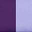 Purple/Lavender