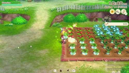 Image of STORY OF SEASONS: Grand Bazaar - Premium Edition - Nintendo Switch 2