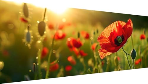 Kit broderie diamant 5D XXL 200x80cm de fleur rouge pour adultes avec strass ronds