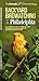 Backyard Birdwatching in Philadelphia: An Introduction to Birding and Common Backyard Birds of Eastern Pennsylvania