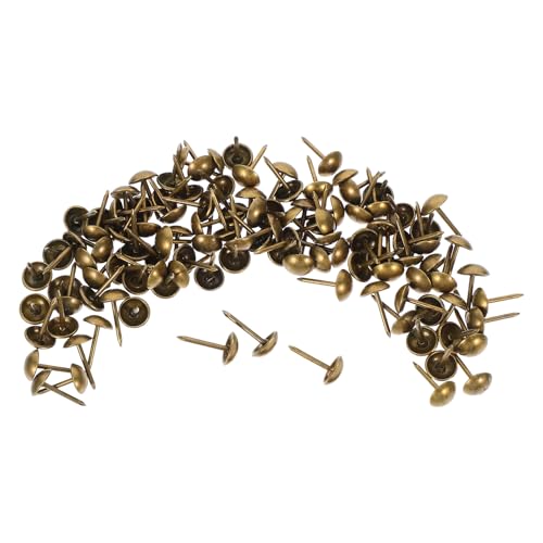 TIDTALEO 100 AeB[NACAƋB \t@ hApCeAlC Be[WƋps XbVϋve