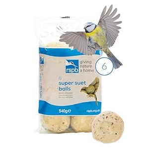 RSPB R1116 Balls Pack of 6-Made wit...