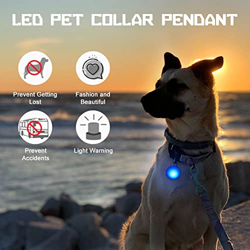 Luci per Cani,Luci Led per Cani,Collare con Luci