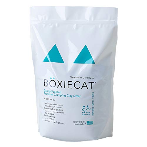 【OFT】 BOXIECAT グリーン ボクシーキャット 7.2kg 猫砂 固まる ベントナイト 微香性 無着色 砂埃が立ちにくい 獣医師共同開発