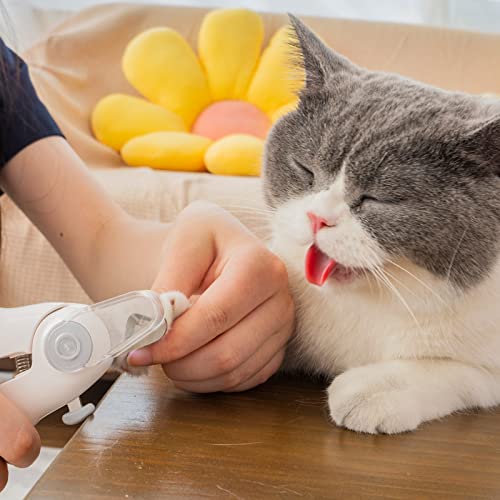 Aiitle Dog & Cat Pets Nail Clippers And Trimmers - With Two Super Bright Led Lights, Razor Sharp Blade, Free Nail File, Transprent Nail Trapper - For Safe, Professional At Home Grooming, White #TOP5