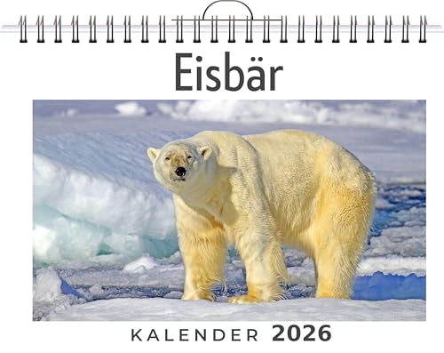 Eisbär: (Wandkalender 2026, Kalender DIN A4 quer, Monatskalender im Querformat mit Kalendarium, das perfekte Geschenk)