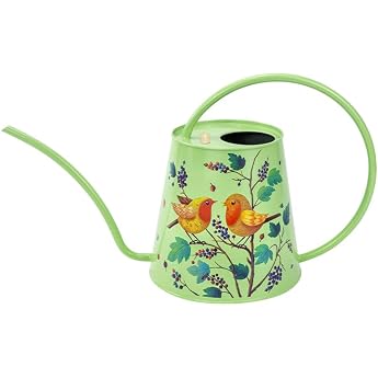 Berry&Bird Watering Can with Long Spout for Home & Garden Greenhouse Indoor Outdoor Metal British Bloom Style for Indoor Plants Bonsai 2 Litres Green