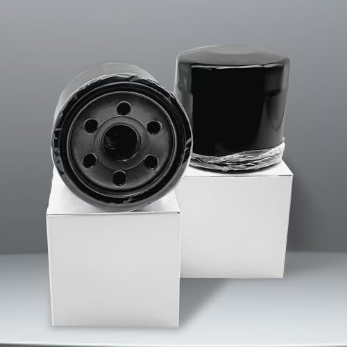 Chikia Hisun 2pcs Oil Filter, Replacement for Massimo Hisun Axis UTV ATV 500,550,700,750,250,400,450,Massimo MSU,Massimo T-Boss 550,Coleman,Bennche,Cub Cadet,BMS Ranch Pony stallion 500 600
