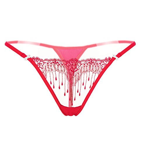 Z&MDH Slip Shorties,String en Dentelle Transparente pour Dames, Culotte Sexy Brodée Creuse et T-Pantalon-Rouge_M Cover