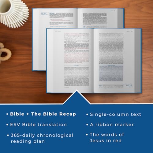 Image of The Bible Recap 365-Day Chronological Study Bible: English Standard Version― ESV One Year Reading Plan