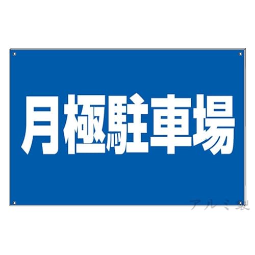 ɒԏ Ŕ ? A~OpWAό󐫁EhKHA30cm x 40cm/20 x 30cm