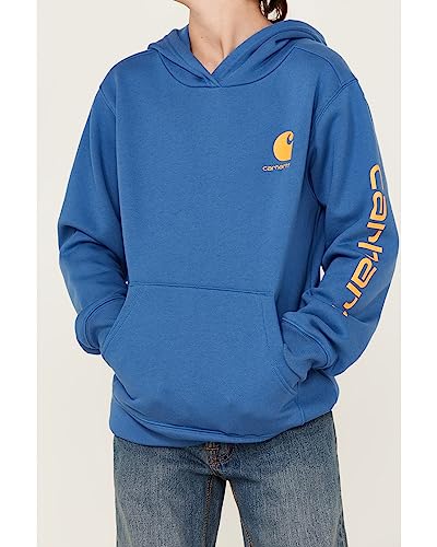Carhartt Boys' Long-Sleeve Hooded Graphic Sweatshirt, Bright Cobalt, X-Large (18/20) #TOP2