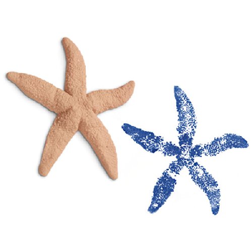 Nasco 9712121 Life/Form Fish Replica Rubber Stamp, Starfish, 7" Length x 7" Width