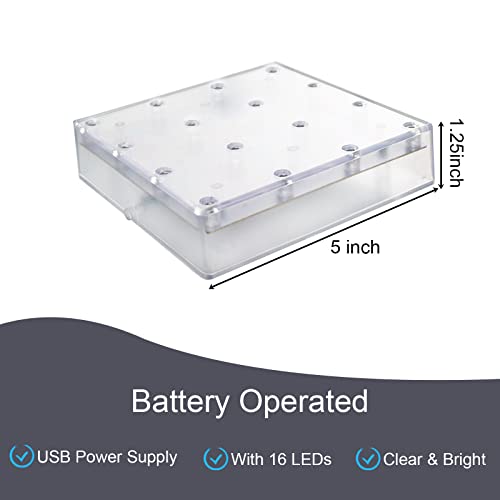 Acmee 5 Inch Acrylic Square Led Vase Base Ligtht, Led Base Light With 16 Leds For Vases Table Centerpiece Decoration, Led Base Battery Operated/Usb Cable 2 Functions(White Light) #TOP4