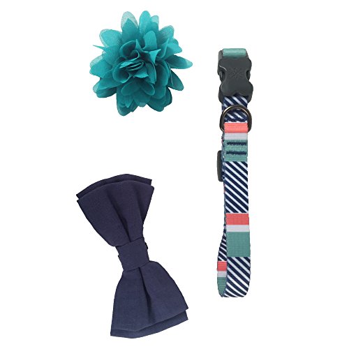 Bow & Arrow Pet Soiree Fancy Dog Collar With 1 Bow Tie Slide and 1 Flower Slide, Medium, Mint Bow & Arrow Pet Soiree Fancy Dog Collar With 1 Bow Tie Slide and 1 Flower Slide, Medium, Mint