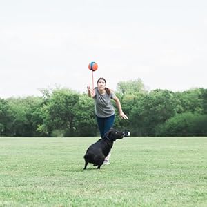 Chuckit rope fetch dog toy indoor and outdoor dog toy pack of 1   cucciolini doodles