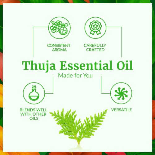 Image of SVA Thuja Essential Oil 1 Fl Oz - for Diffuser, Skin & Hair Care - Ideal for Massage & DIY Blends - with Dropper