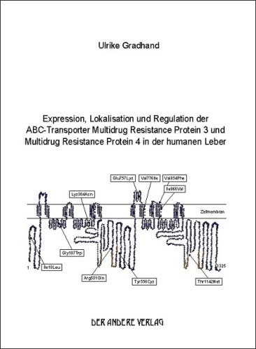 Expression, Lokalisation und Regulation der ABC-Transporter Multidrug Resistance Protein 3 und Multidrug Resistance Protein 4 in der humanen Leber