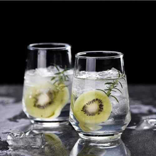 Farielyn-X Premium Juice Glasses Set of 6, Transparent, 300ml, Diamond Design Highball Glasses for Drinking, Water, and Cocktails (Water Glass,./, 6)