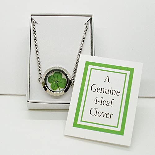Clovers Online Genuine Preserved Four Leaf Clover Good Luck Charm Floating In A Stainless Steel Bolo Bracelet #TOP6