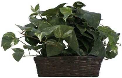 PalmVID DVR Silk Plant Hidden Camera with Built-in DVR