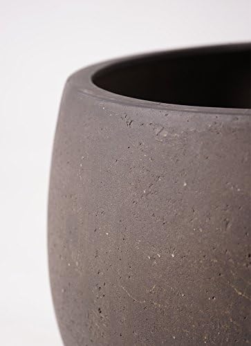 ユッカ8号 テラニアスローバルーンアンティークブラウン