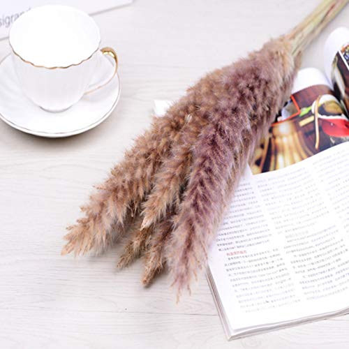 15 grama pampas secas, planta cana 61 cm flores reais românticas flores casamento, pampas naturais s