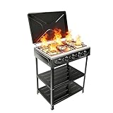 FireLeaves 5 Burner Natural Gas Stove Po...