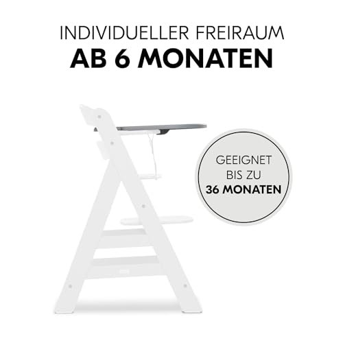 hauck Klickbrett Kompatibel mit Alpha+ & Beta+ Holzhochstuhl Alpha Click Tray, aus Recyceltem Material (GRS-zertifiziert), Schnelle Klickbefestigung am Hochstuhl, Einfach zu Reinigen (Grey)