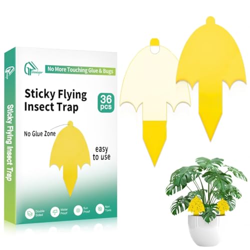Greenkeeper Ver. 2.0 Gnat Traps