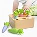 Holzspielzeug ab 1 Jahr | Montessori Spielzeug 1 2 3 Jahre | Baby Motorik Spielzeug für Jungen und Mädchen | Sortierspiel Holzpuzzle Karottenernte | Lernspielzeug Geschenk für Kinder Kleinkind