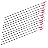 SAS Wolverine 26'/28' Fletched Youth Archery Carbon Arrows...