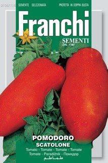 Tomate tradicional italiano - Tomate tipo San Marzano Scatolone