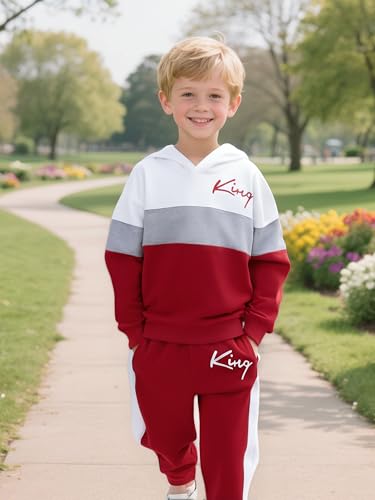 Image of Kids Boys Clothes Color Blocking Hoodie Sweatshirts and Pant 2Pcs Fall Outfits Set Size 5-10