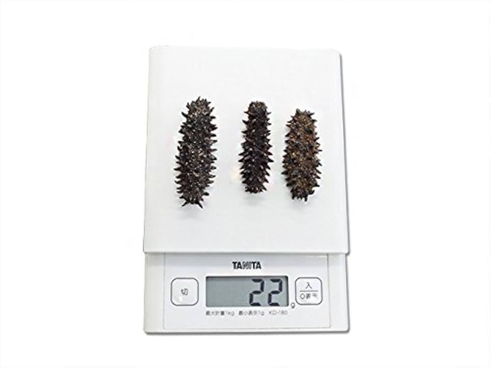 干しナマコ  25本 Amazon.co.jp: 乾燥ナマコ 特A級品 Mサイズ 20g (特Aランク M