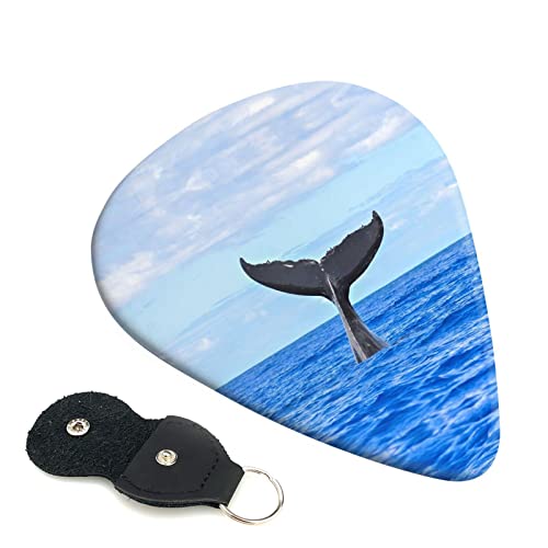 Whale Tail Lot de 6 médiators pour guitare acoustique, guitare électrique, basse, ukulélé – fin, moyen et épais. - Les Beatles, Paul McCartney, John Lennon, RIngo Starr, George Harrison Whale Tail Lot de 6 médiators pour guitare acoustique, guitare électrique, basse, ukulélé – fin, moyen et épais.
