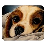 Base antidérapante : le tapis de souris Eslifey dispose d'une base en caoutchouc qui garantit qu'il reste en place même pendant les sessions de jeu intenses ou les journées de travail mouvementées.