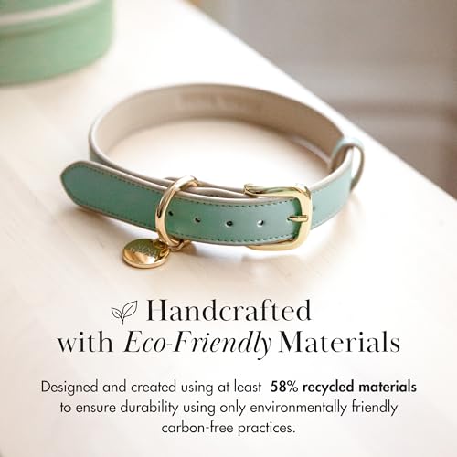 Nina Woof Copenhagen Hundehalsband aus veganem Leder, gepolstert, verstellbar, Beige, Größe M